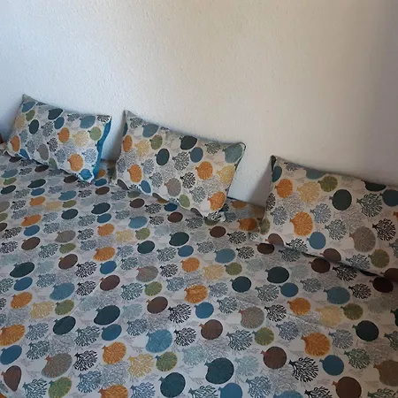 2p Au Pied Des Pistes, Animaux Admis, - Fr-1-356-190 *